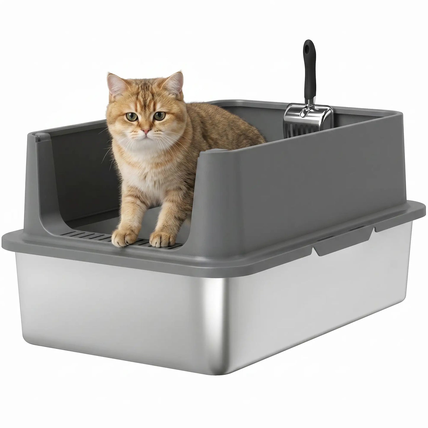 XL Stainless Steel Cat Litter Box, High Wall, Odor Free, Steel