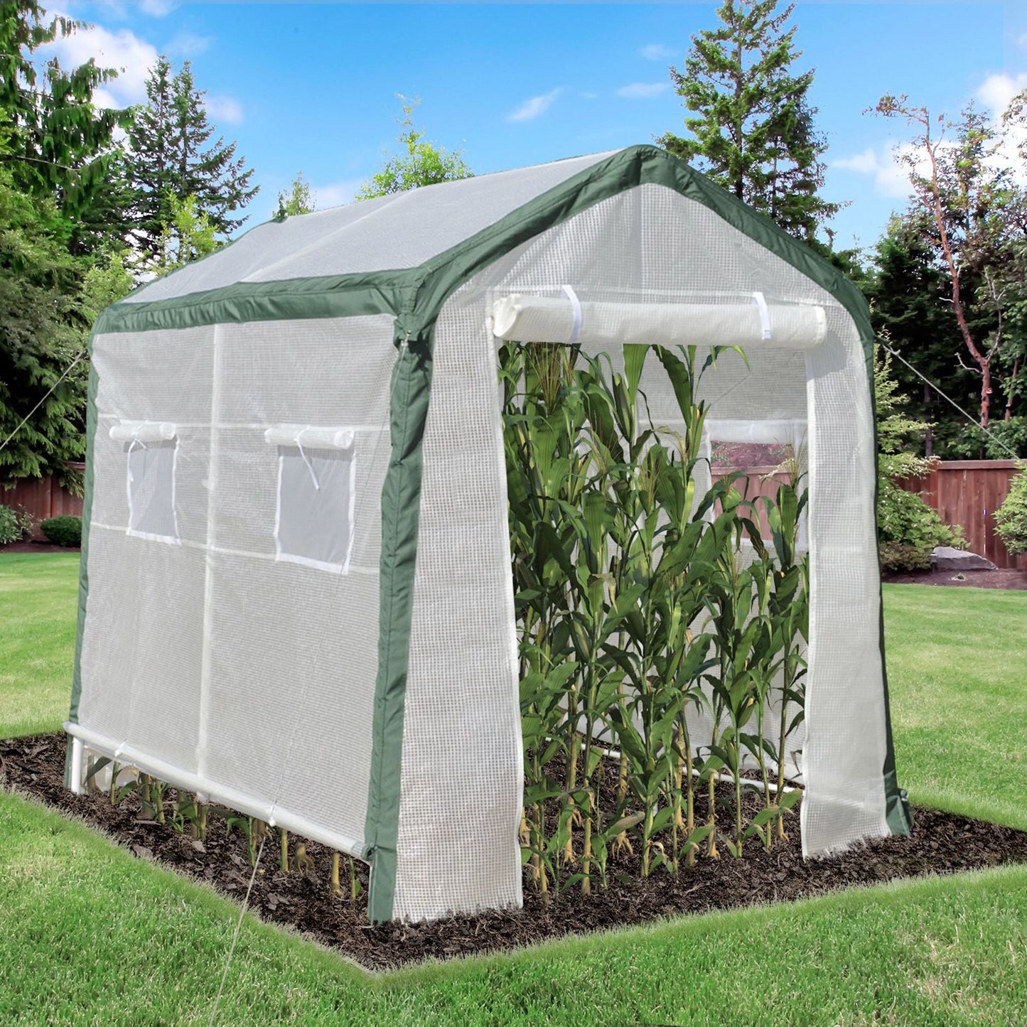 95'' x 71'' x 79'' Greenhouse with Roll Up Door and 4 Windows Plant Growth Warm House Outdoor, PE Cover, Steel Frame, White at Gallery Canada