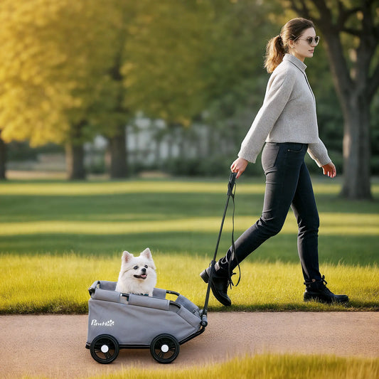 4 Wheels Folding Pet Stroller, Universal Handle, Storage Bag, Washable Cushion Dog Bike Trailers & Strollers Grey at Gallery Canada