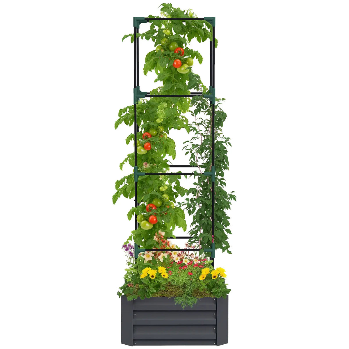 Galvanized Planter Box, 4-Tier Trellis Tomato Cage, Grey Galvanized Planter Boxes at Gallery Canada