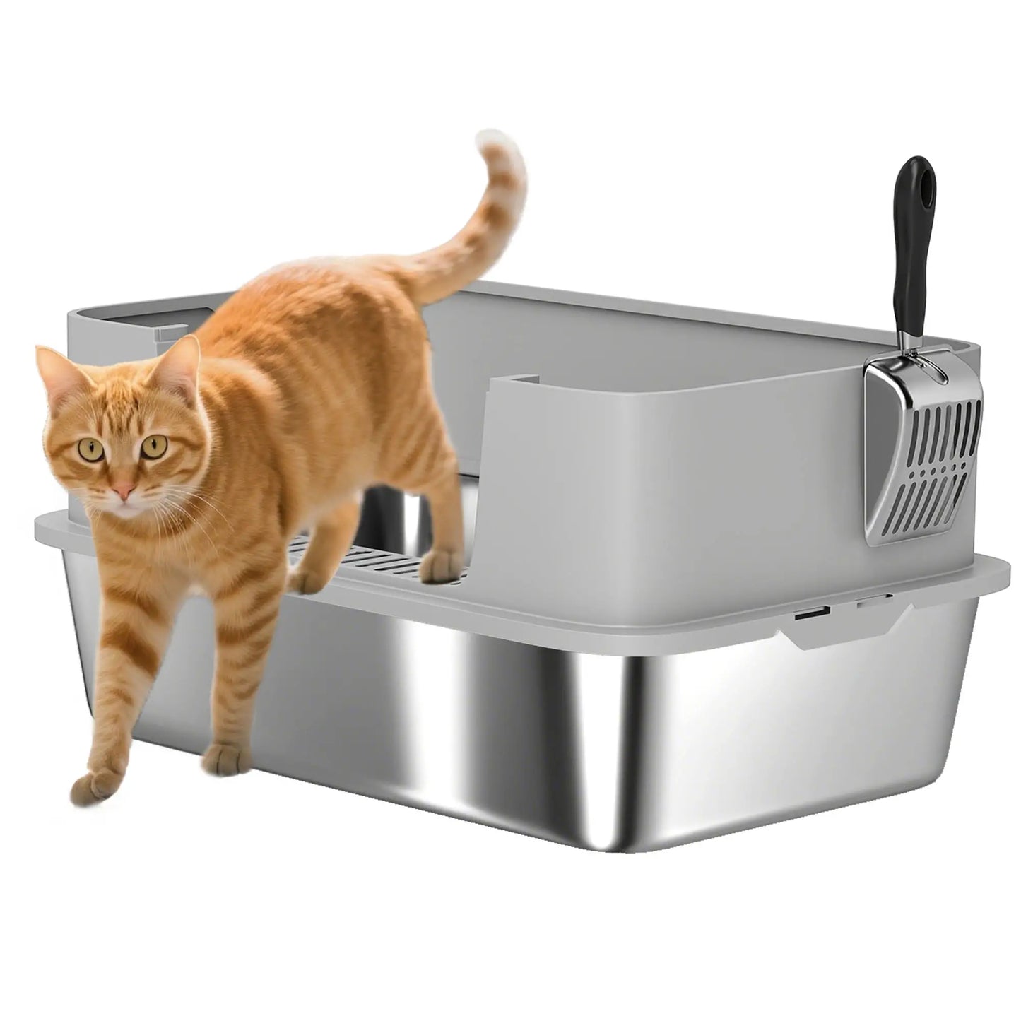Stainless Steel Cat Litter Box, XL High Sided, 24" x 16" x 12", Grey Cat Litter Box Enclosures at Gallery Canada