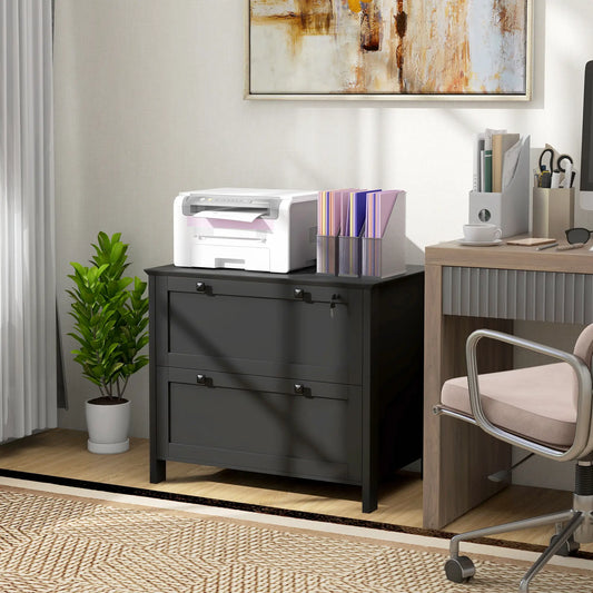 2 Drawer File Cabinet, Lockable, Adjustable Hanging Bar, Letter, A4, Legal Size, Black Office Cabinets & Cupboards Black at Gallery Canada