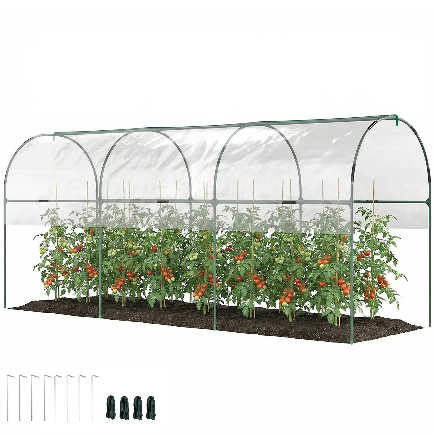 Tomato Greenhouse Tunnel, 4 Hoops, Top Tap, 157.5" x 48.4" x 67.3", Clear Tunnel Greenhouses at Gallery Canada