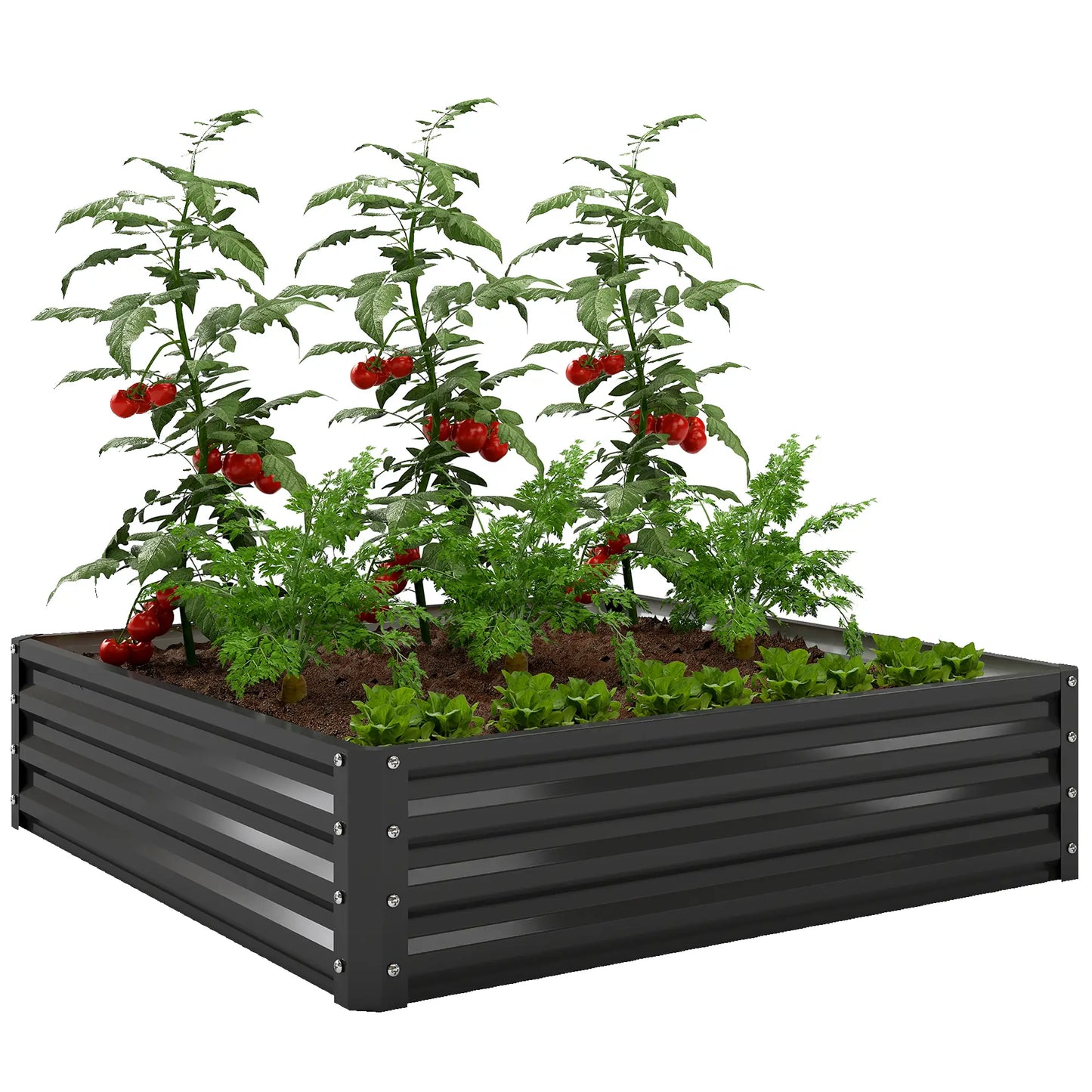 Galvanized Steel Raised Garden Bed, Black Galvanized Planter Boxes at Gallery Canada