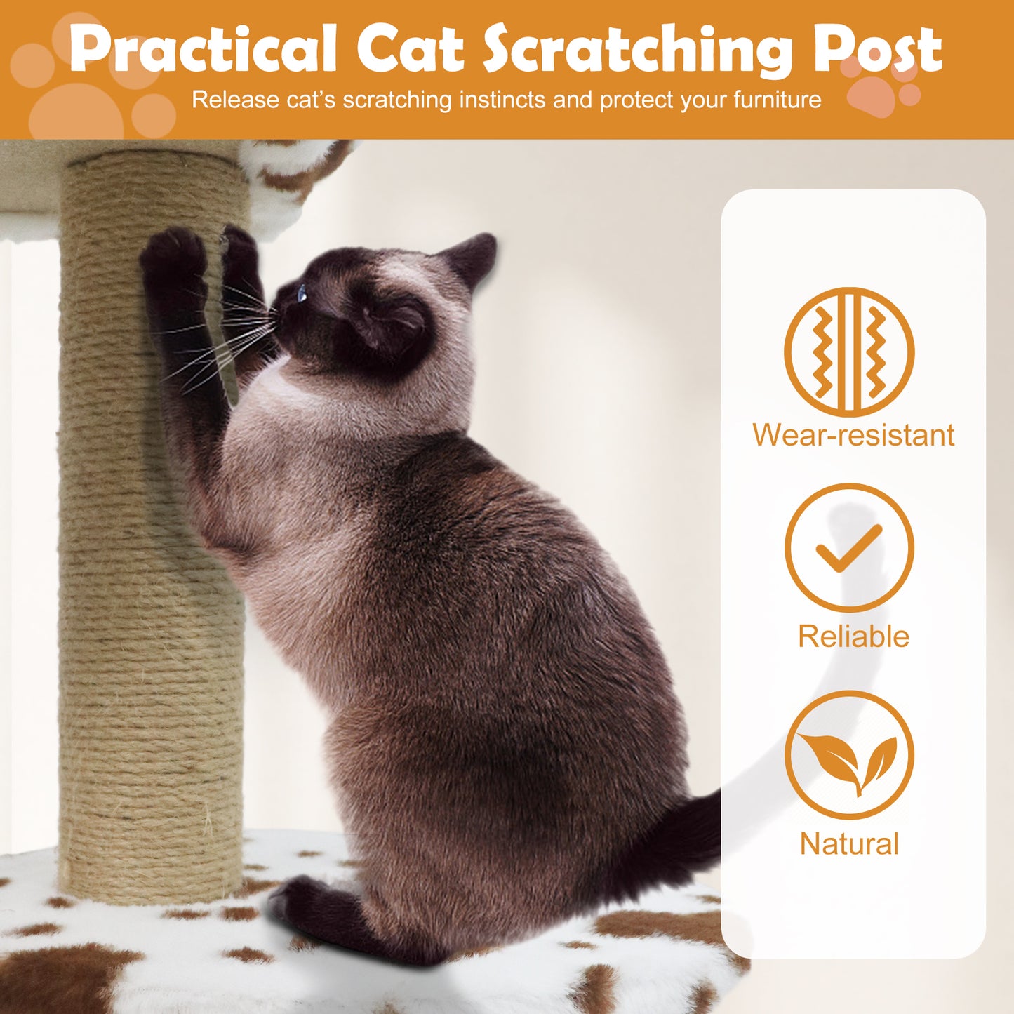 Modern Cat Tree Indoor Cat Tower with Wide Upholstered Perch and 2-Entrance Cat Condo, White Cat Trees Condos & Scratchers at Gallery Canada