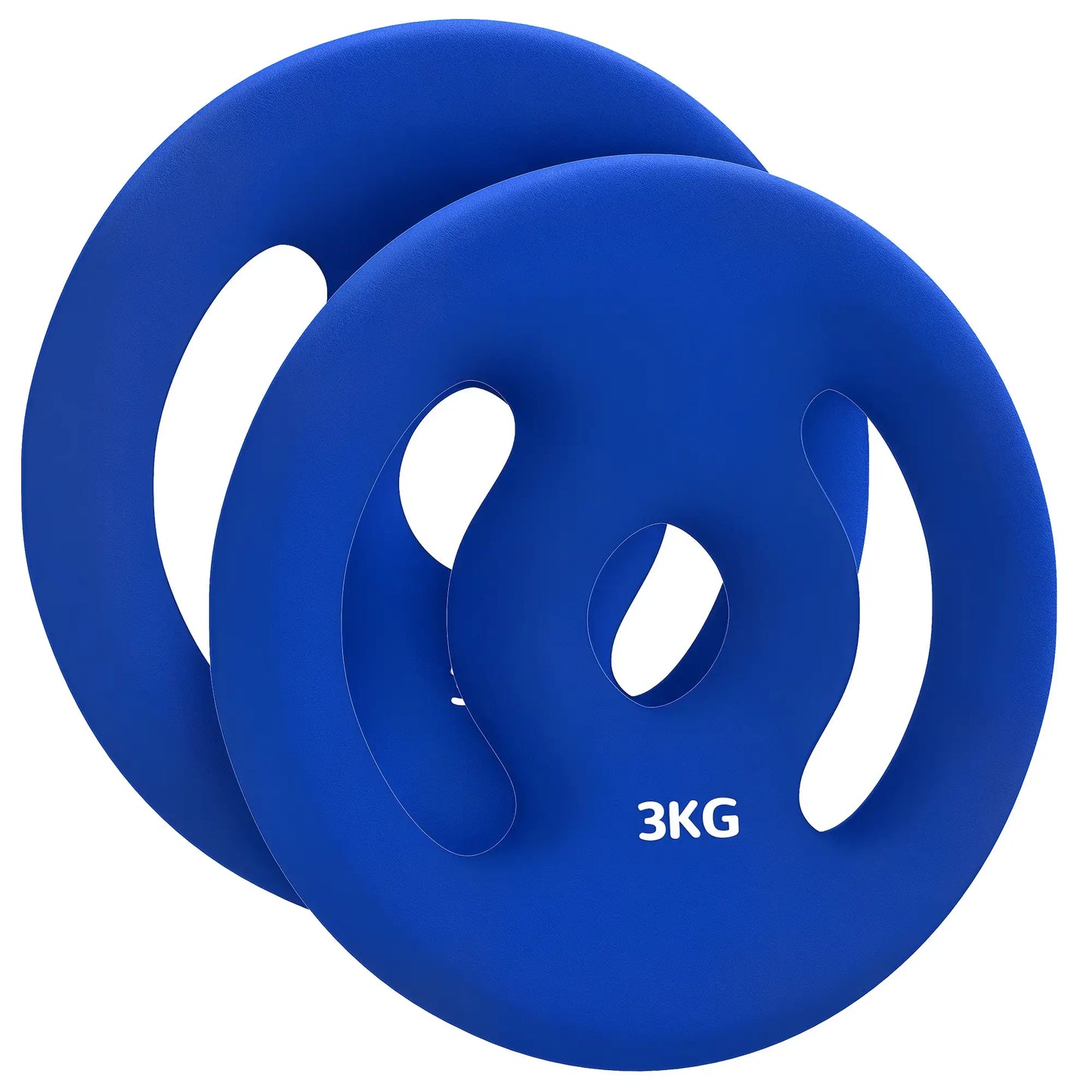 2 x 6.6lbs Weight Plates, 1" Holes, Easy-Grip Handles, Gym, Home Dumbbells & Barbells at Gallery Canada