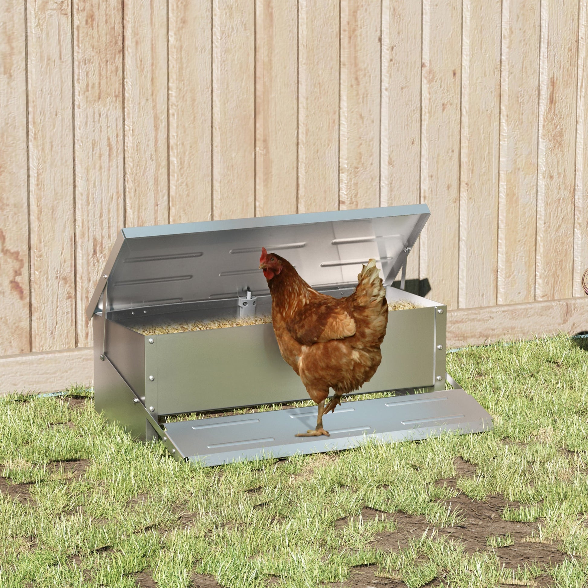 Automatic Chicken Feeder, 22.5 lbs Capacity Poultry Feeder with Self Opening Treadle, Weather Resistant Lid, for 6 Chickens, Silver at Gallery Canada