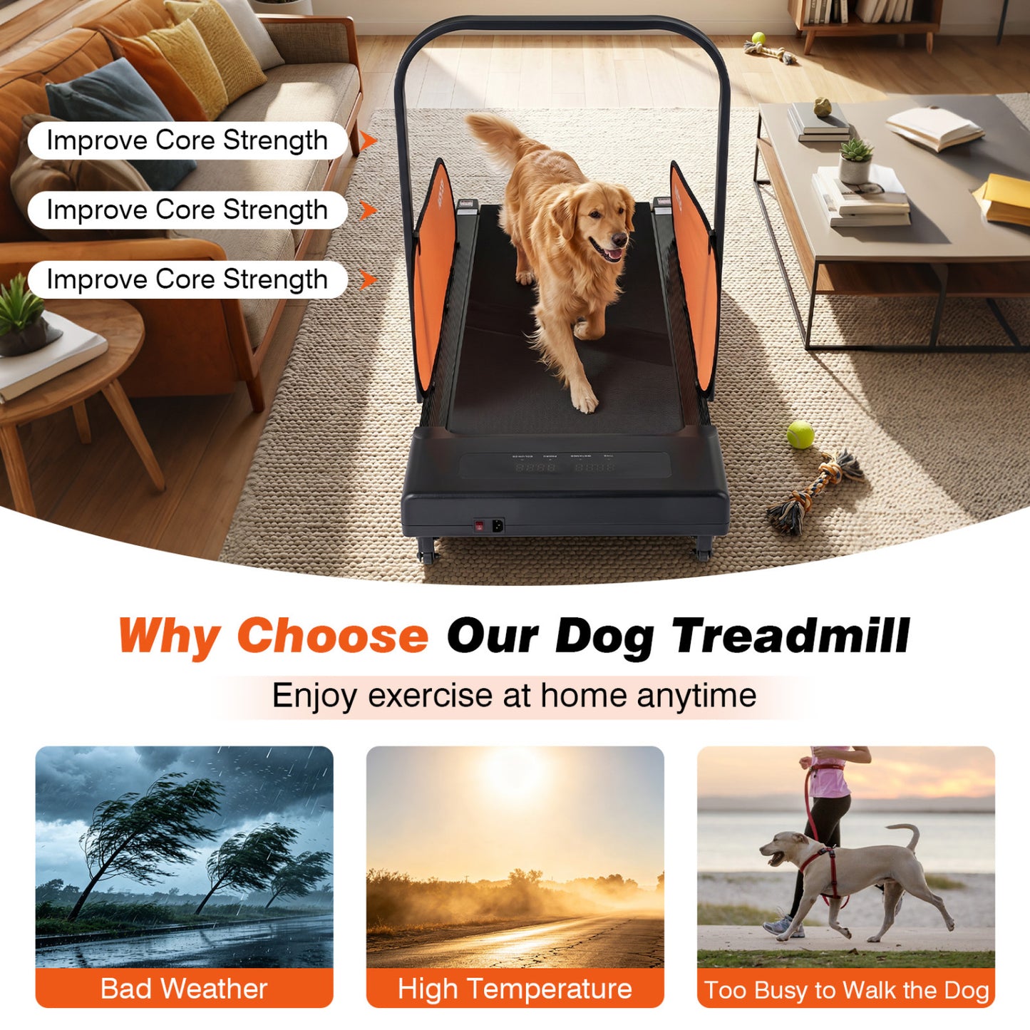Pet Treadmill for Small & Medium Dogs with LED Display and Adjustable Speed, Black Dog Supplies at Gallery Canada