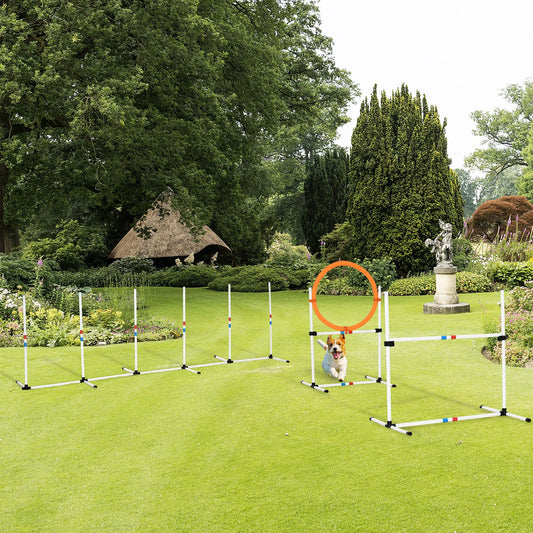 3 Piece Dog Agility Training Set, High Jump, Jumping Ring, Weave Poles, Storage Bag, White, Orange, Blue Dog Agility Training Equipment White, Yellow at Gallery Canada