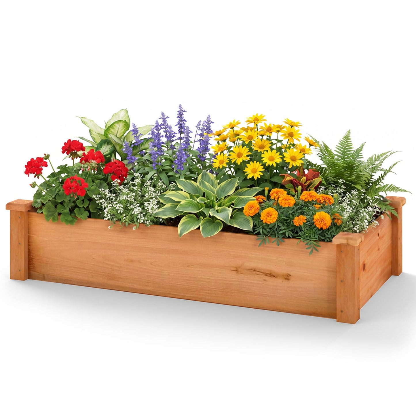 Carré potager en bois de sapin, orange