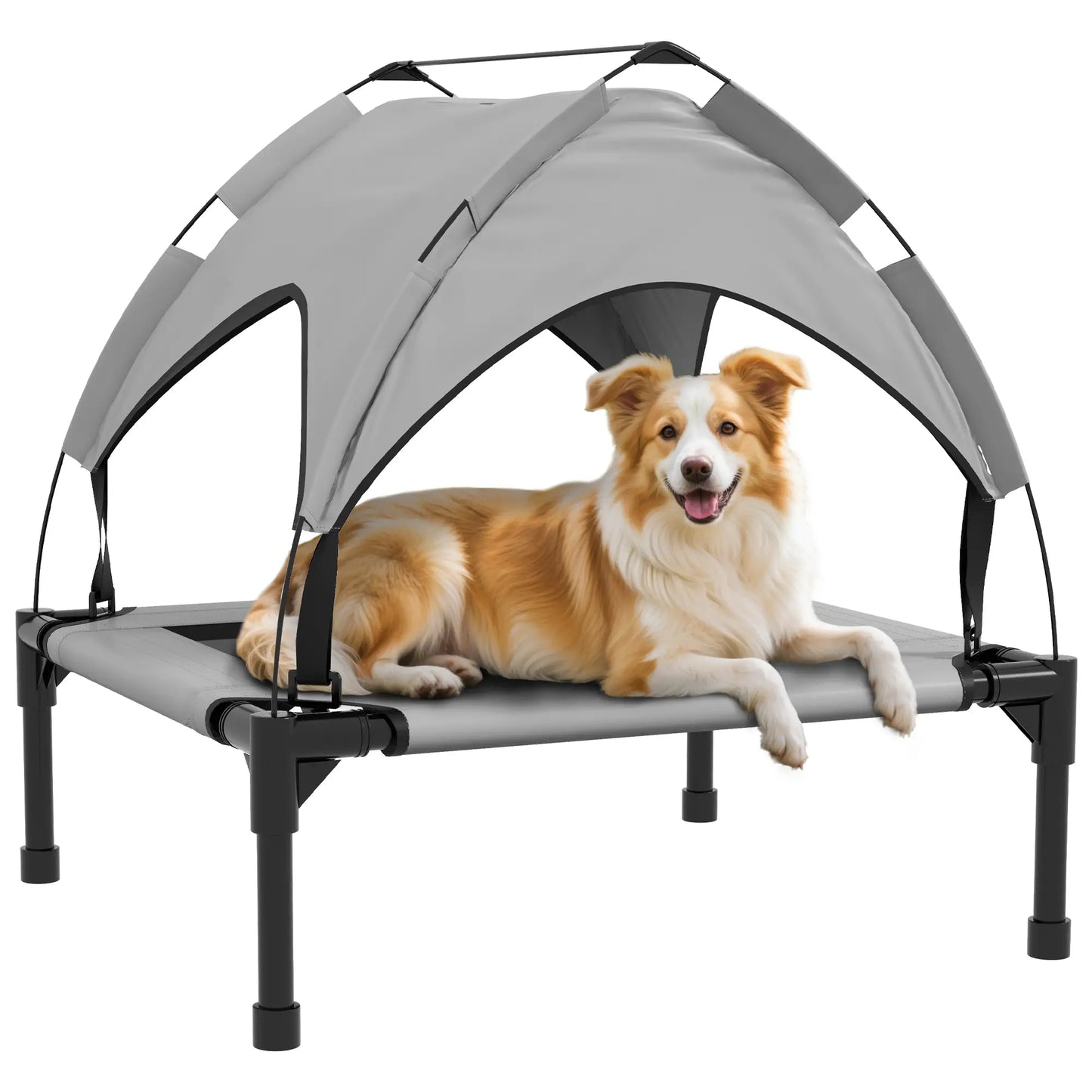Raised Dog Bed With Canopy, Washable Mesh, Small Medium, Light Grey Elevated Dog Beds at Gallery Canada
