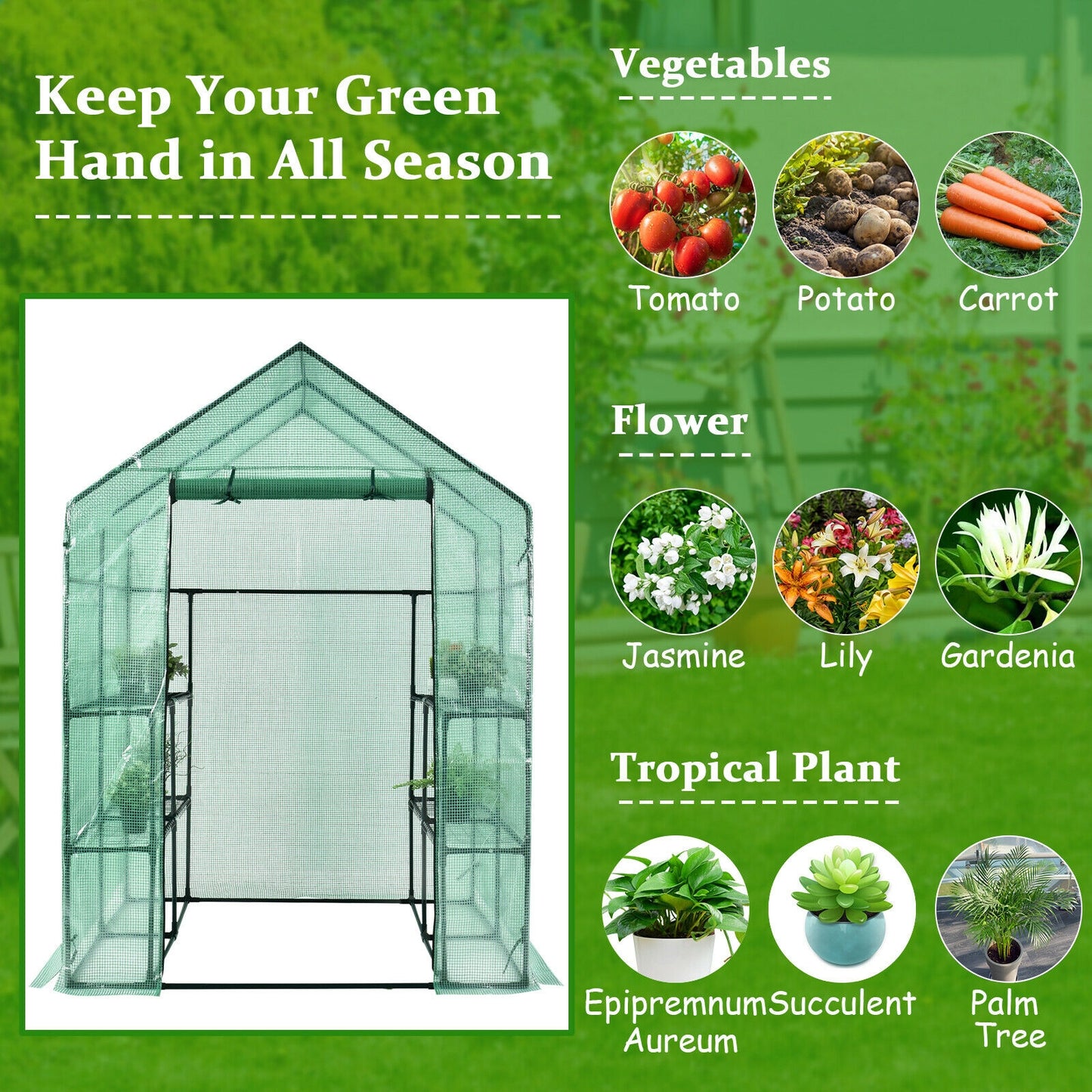 Walk-In Greenhouse, 56 x 56 x 77 Inch, Observation Windows, Green Greenhouses at Gallery Canada