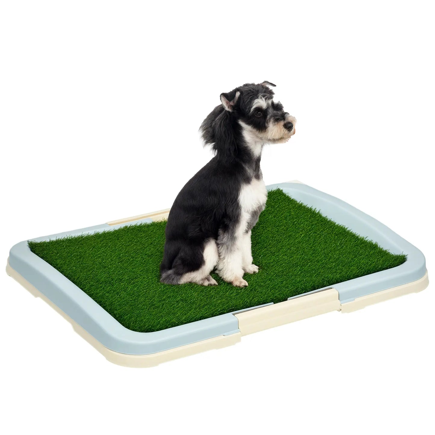 Tapis d'apprentissage pour chiot, portable pour intérieur, avec plateau, 24,8" X 19,1"