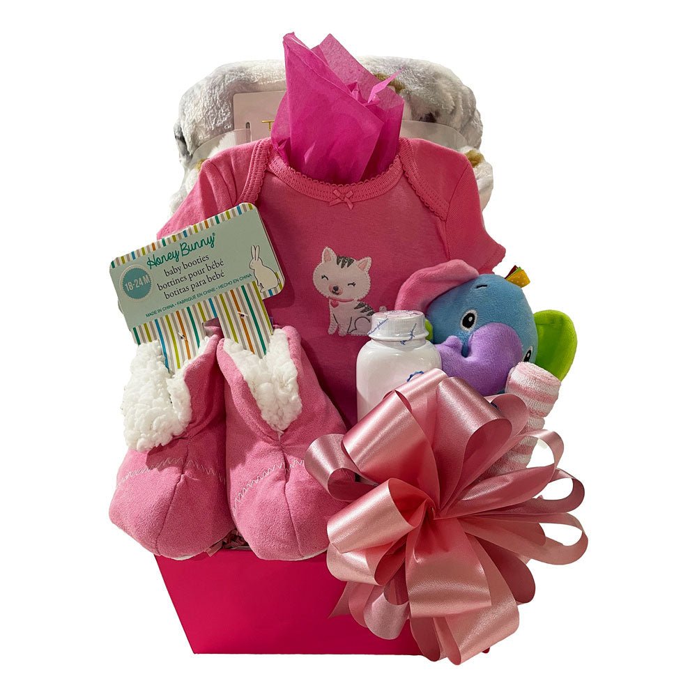 Baby Girl Essentials Gift Box - Gallery Canada