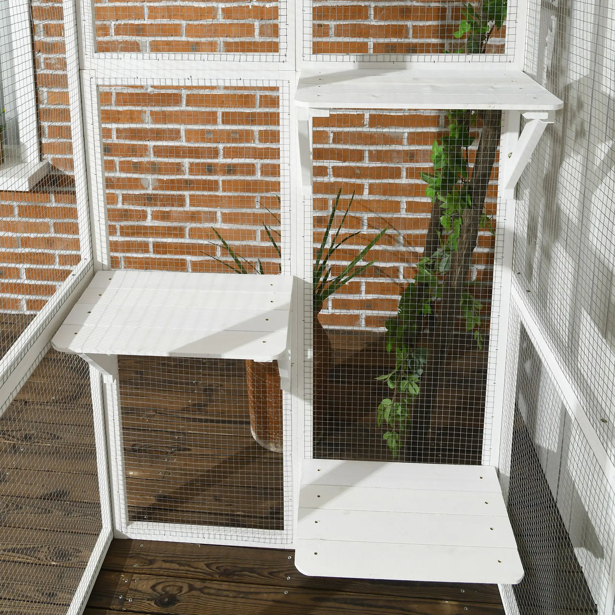 Large Outdoor Catio Enclosure, Wooden Cat Patio, 70.9" x 38.6" x 70.9", White Outdoor Cat Enclosures at Gallery Canada