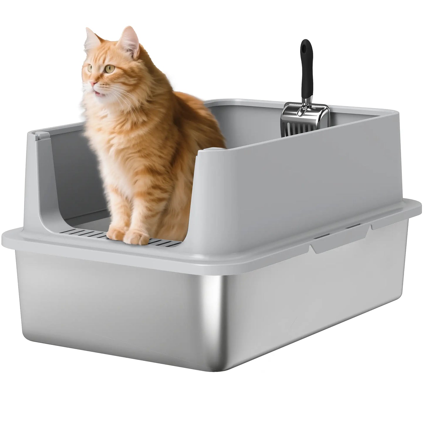 XL Stainless Steel Cat Litter Box, High Wall, Scoop Included, Easy Clean Cat Litter Box Enclosures at Gallery Canada