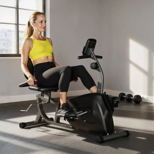 Recumbent Exercise Bike, 8-Level Magnetic Resistance, LCD Monitor, Heart Rate Handle, Adjustable Seat Exercise & Stationary Bikes Black at Gallery Canada