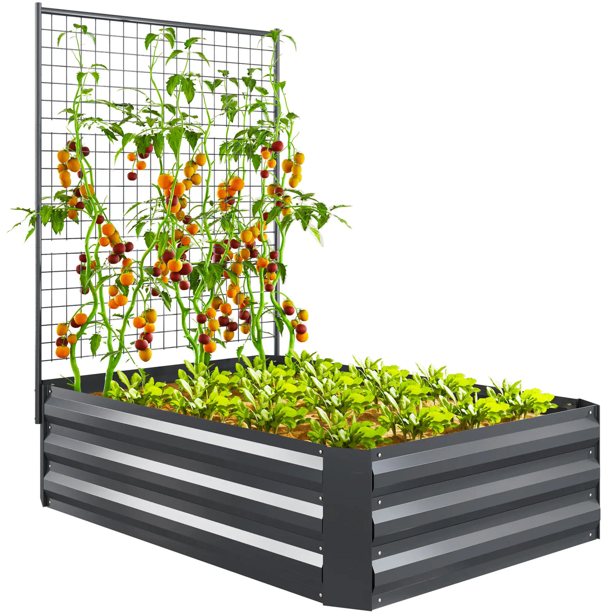 Galvanized Raised Garden Bed, Trellis for Climbing Plants, Dark Grey Raised Garden Beds at Gallery Canada