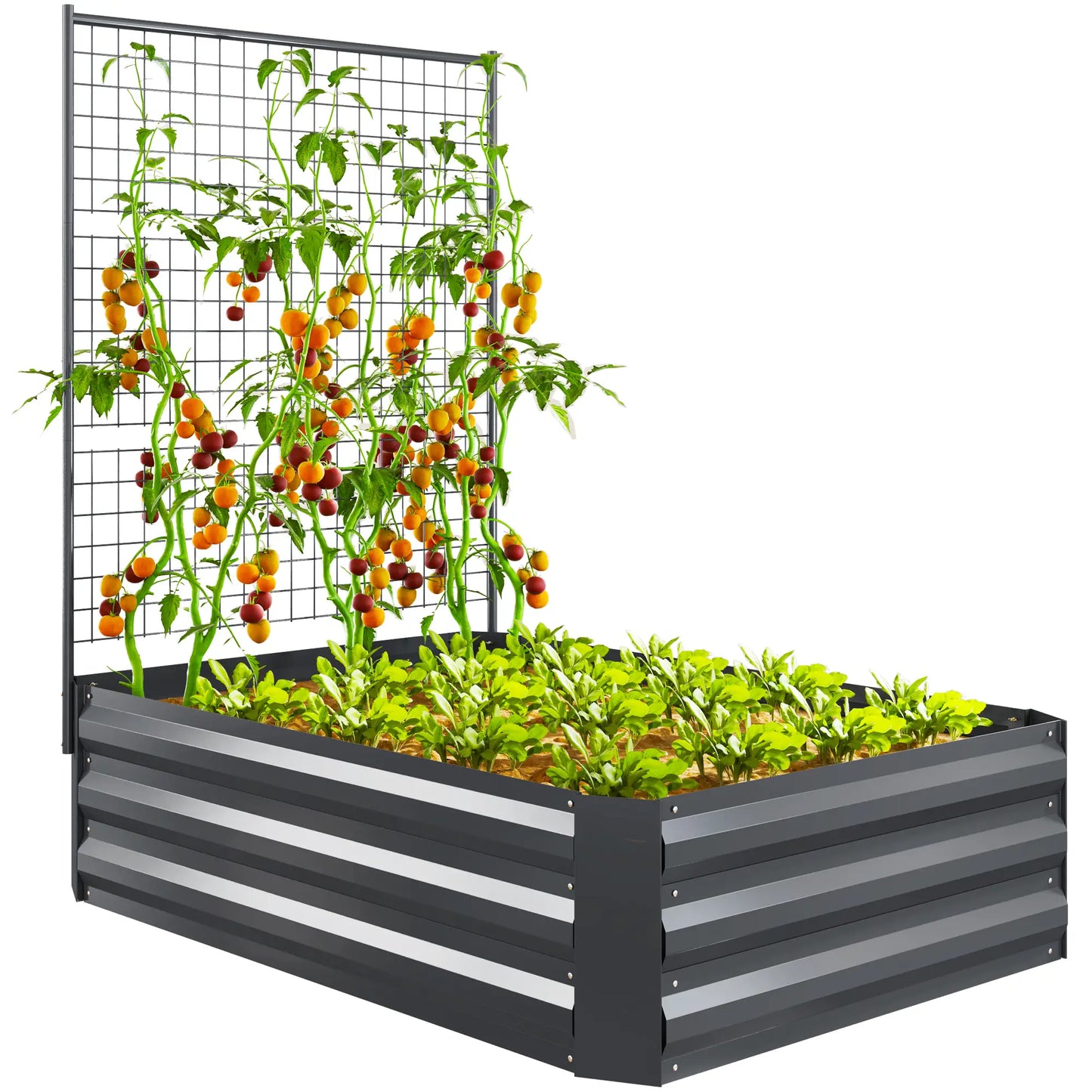 Galvanized Raised Garden Bed, Trellis for Climbing Plants, Dark Grey Raised Garden Beds at Gallery Canada