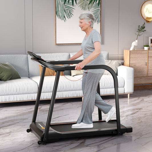 2.5 HP Walking Treadmill with Long Handrails for Seniors, Black Treadmills Black at Gallery Canada