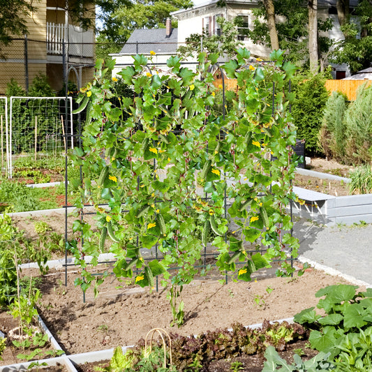 71 x 71 Inch U-Shaped Tall Garden Arched Trellis for Climbing Plants Plant Supports Options at Gallery Canada