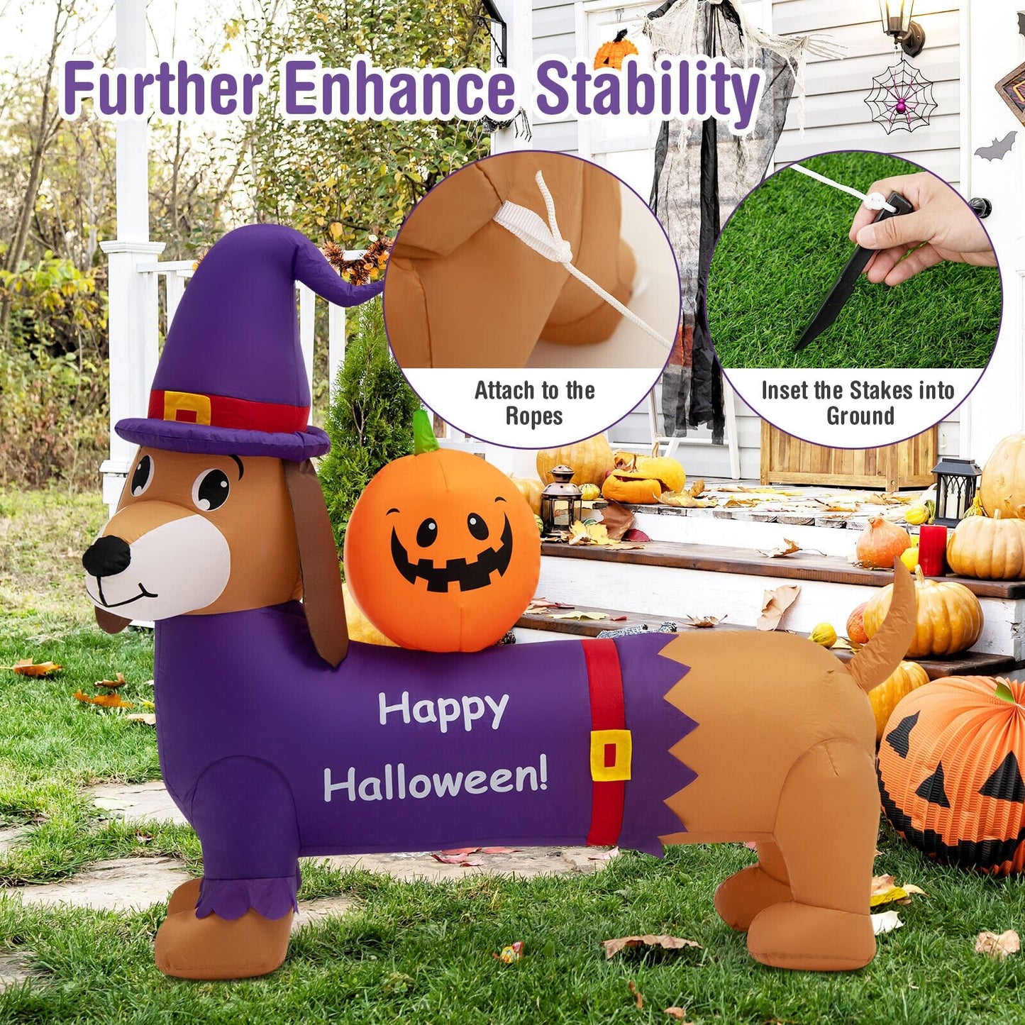 5 Feet Long Halloween Inflatable Dachshund Dog with Pumpkin, Purple