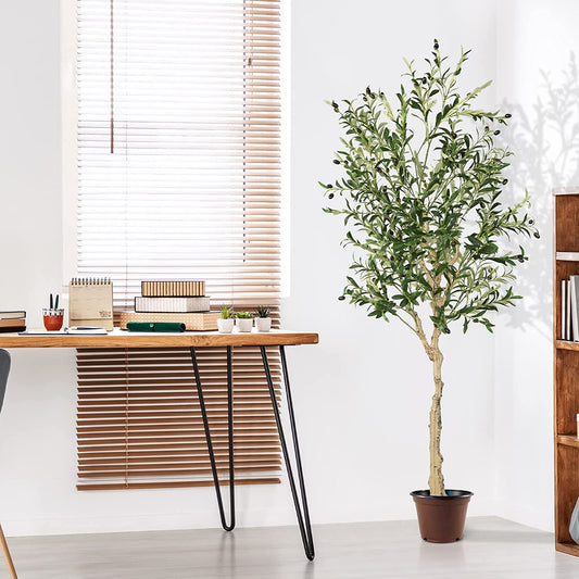 6 Feet Artificial Olive Tree in Cement Pot-2 Pieces, Green Faux Plants 2 Pieces at Gallery Canada