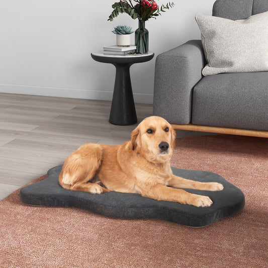 Orthopedic Dog Bed, Memory Foam, Large, Gray Dog Supplies Gray at Gallery Canada