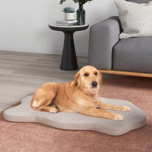 Orthopedic Dog Bed, Memory Foam, Large, Beige Dog Supplies Beige at Gallery Canada