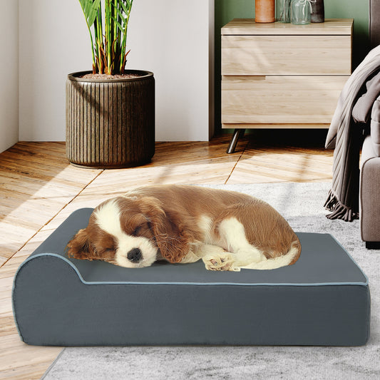 Orthopedic Dog Bed, Headrest, Removable Washable Cover, Gray Dog Supplies Gray at Gallery Canada