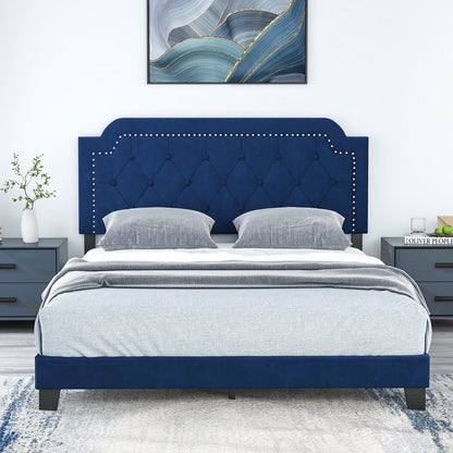 Queen Size Velvet Platform Bed with Button Tufted and Nailhead Trim Headboard-Queen Size, Blue