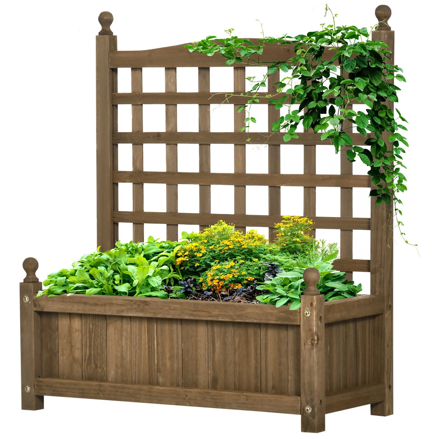 Wood Raised Garden Bed Planter with Trellis, Indoor Outdoor, Coffee Wooden Planter Boxes at Gallery Canada