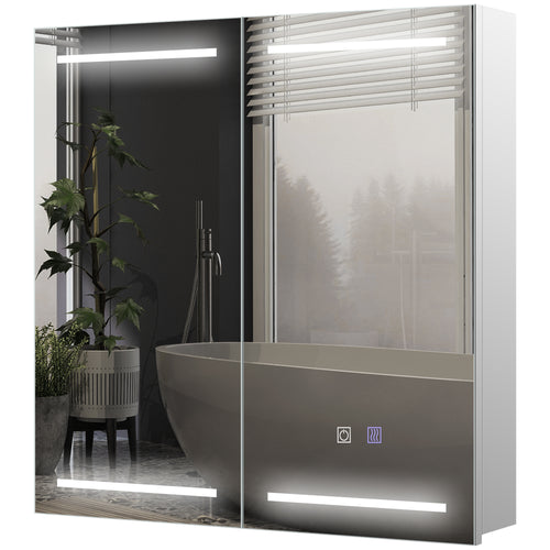 Illuminated Medicine Cabinet with Mirror, LED Vanity Mirror Cabinet with Defogging Film, Stainless Steel Frame