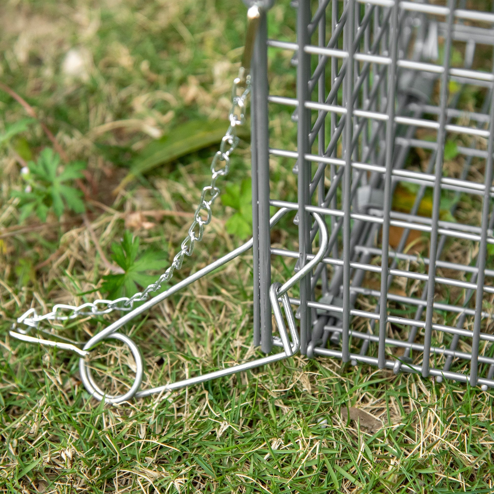 Live Animal Trap, One-Door Raccoon, Animal-Friendly Humane Catch &; Release Steel Cage for Squirrels, Rabbits, Mink, Gopher, Raccoons, Weasels, 36.6" x 12.2" x 13.6" at Gallery Canada