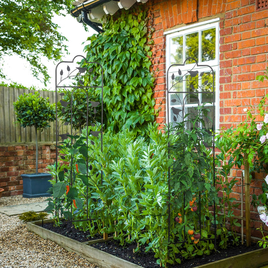 2 Pack Garden Trellis, Metal Grid Panels with Birds, Leaves, 59" Tall Plant Stands Black at Gallery Canada