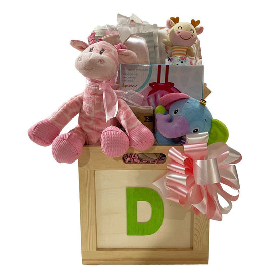 Precious Princess Baby Gift Box - Gallery Canada