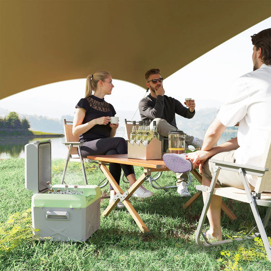 12QT Car Refrigerator, 12/24V DC, 110-240V AC, -68℉~68℉, Portable Cooler Car Coolers Green and Grey at Gallery Canada