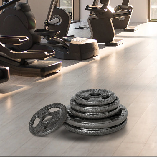 6 PCS Weight Plates, Grip Plate Set, Strength Training, 77 Lbs Dumbbells & Barbells Silver at Gallery Canada