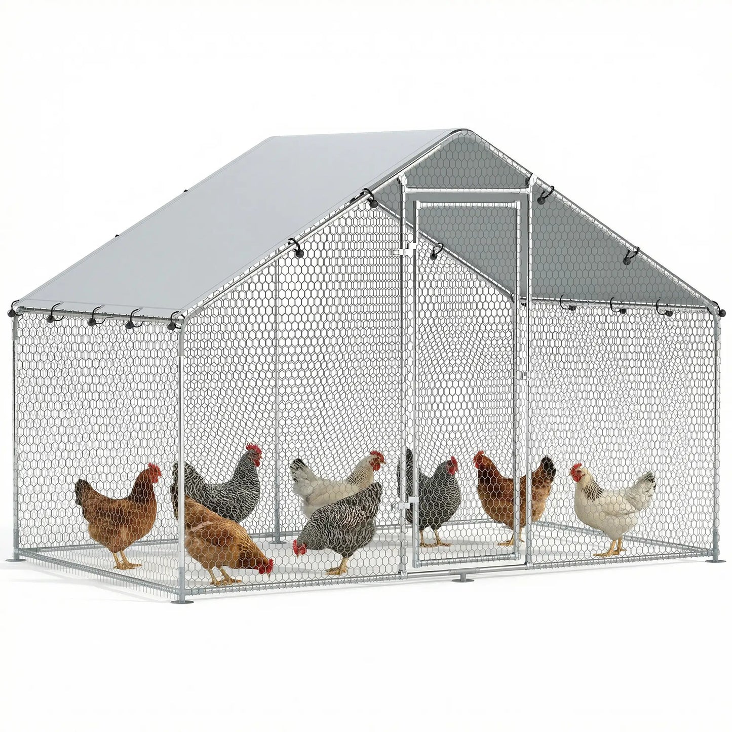 Metal Chicken Coop, 9.8 x 5.6 FT, Walk-In Run With Cover, Lockable Door Chicken Coops at Gallery Canada