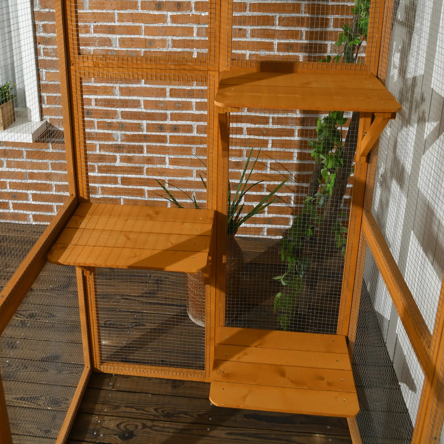 71" x 39" x 71" Cat Cage, Large Outdoor Wooden Cat Patio, Orange Outdoor Cat Enclosures at Gallery Canada