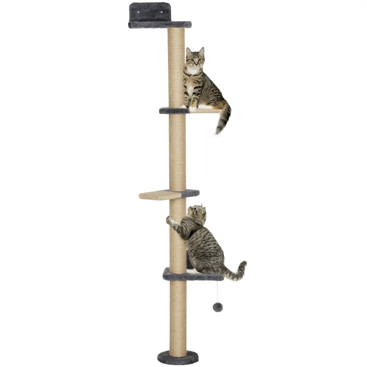 Cat Wall Shelves, 4 Platforms, Jute Scratching Post, Dark Grey Cat Climbing Wall at Gallery Canada