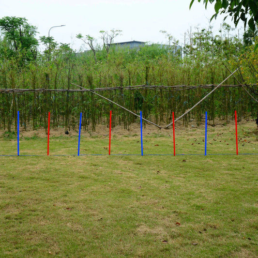 Dog Agility Equipment Set, Portable Training for Outdoor Play Dog Agility Training Equipment Red, Blue at Gallery Canada