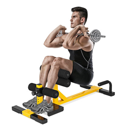 3-in-1 Sissy Squat Ab Workout Home Gym Sit Up Machine at Gallery Canada