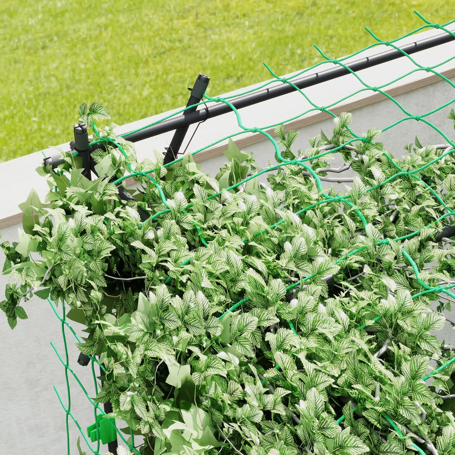 7.3 FT Tall Metal Garden Arch Trellis, For Climbing Plants, Black