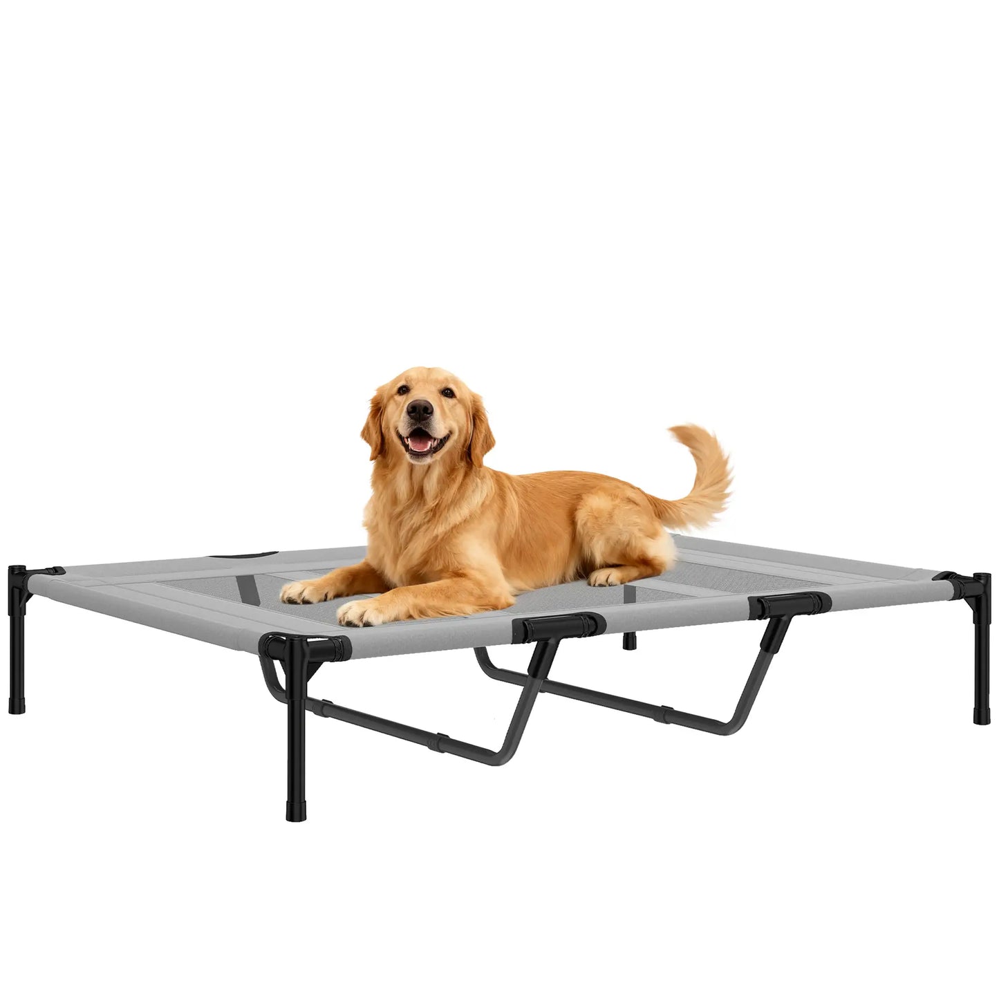 Elevated Dog Bed, XL Dog Cot, 48" x 36" x 9", Light Grey Elevated Dog Beds at Gallery Canada