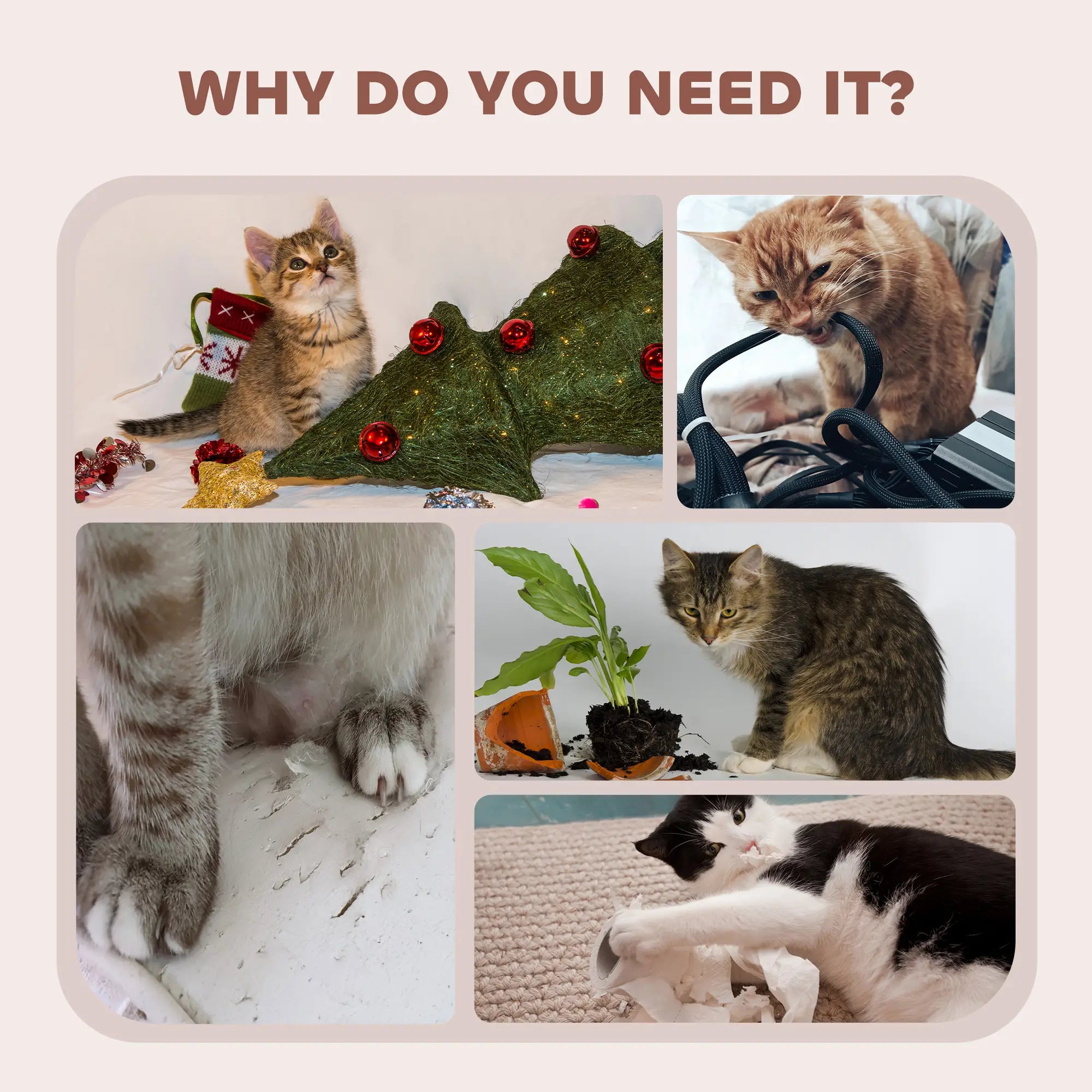 63 Inch Cat Tree with Sisal Posts, Condos, Plush Perches, Hammock, Ladder Cat Towers at Gallery Canada