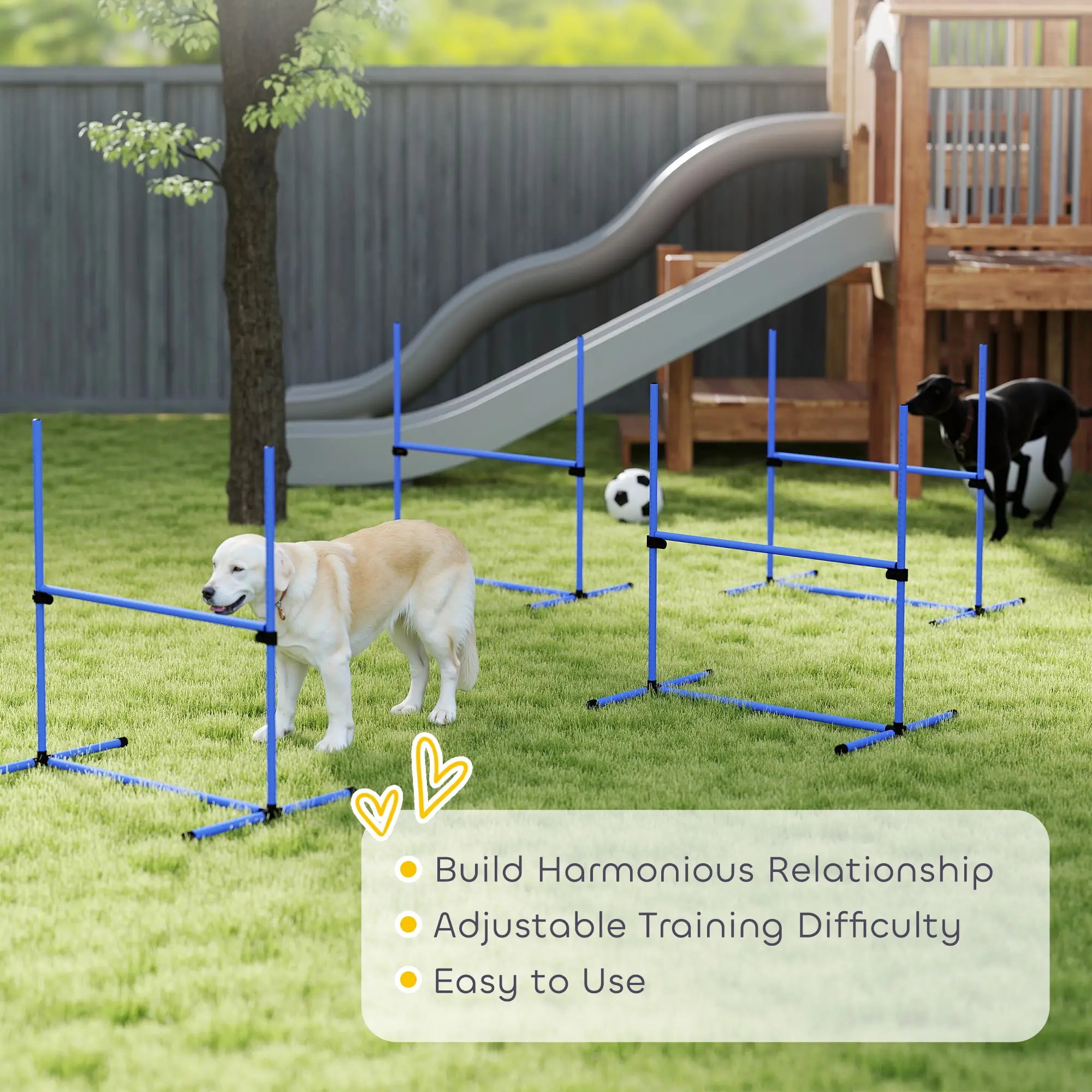 Dog Agility Training Set, 4 Adjustable Jump Bars, Exercise Kit, Blue Dog Agility Training Equipment at Gallery Canada