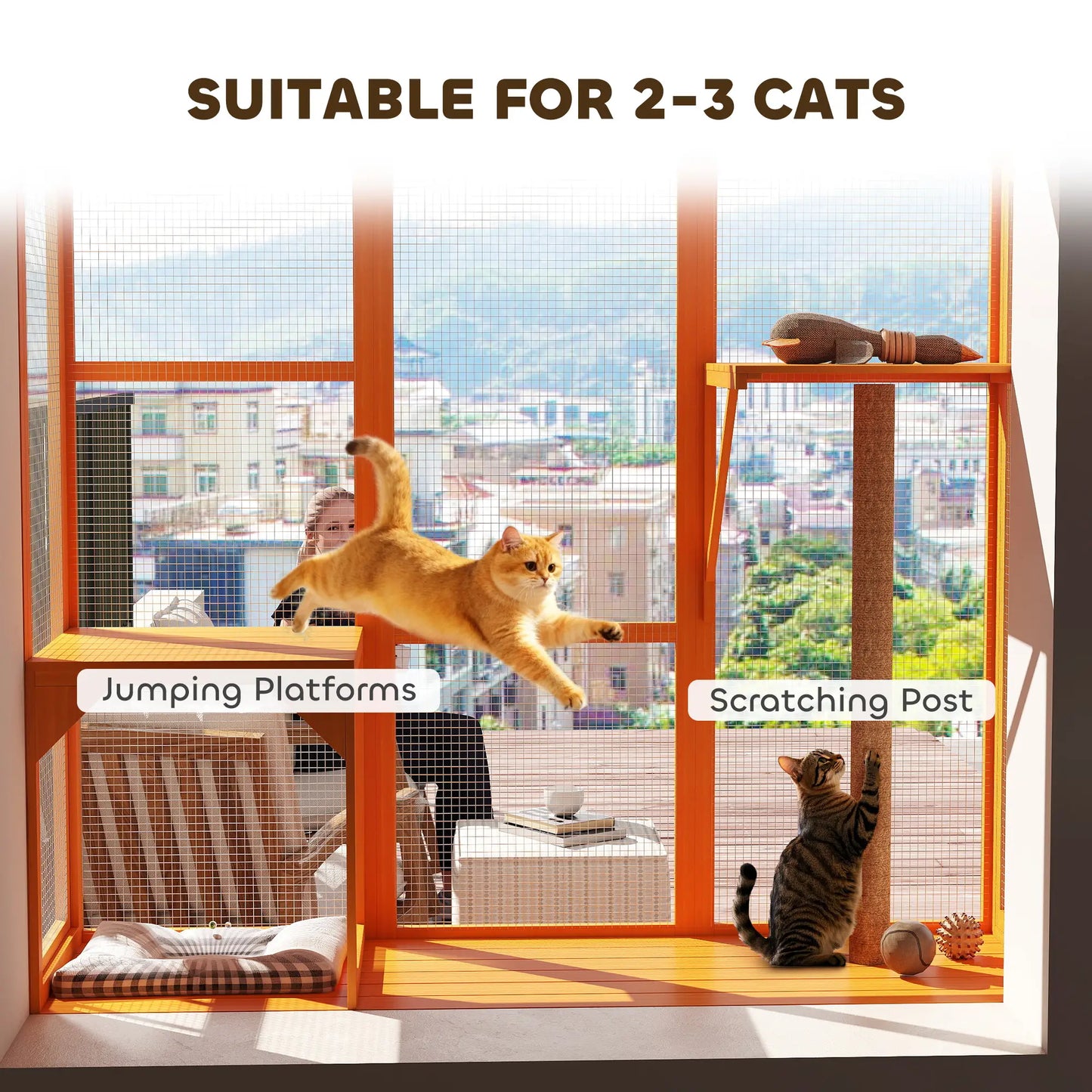 Wooden Catio Outdoor Enclosure, 2 Jumping Platforms, Scratching Post, Orange Outdoor Cat Enclosures at Gallery Canada