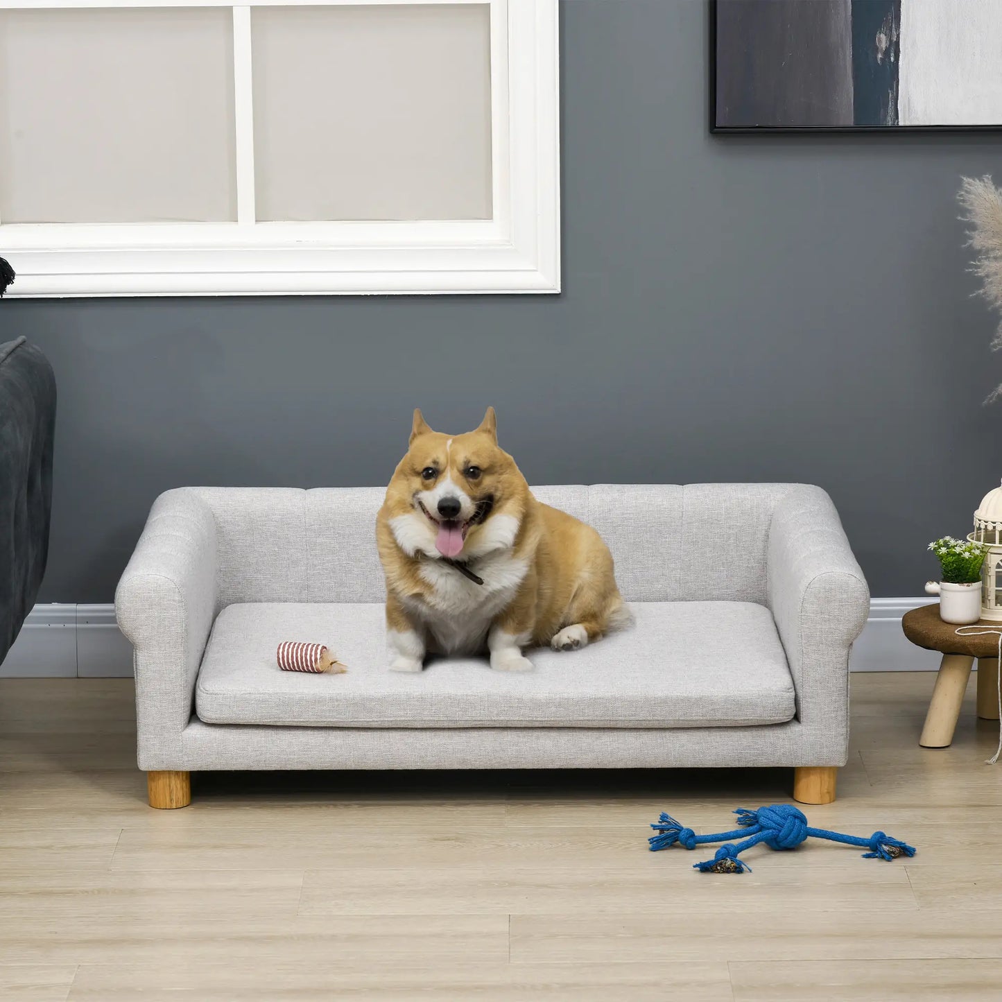 Modern Pet Sofa, Medium Large Dog Bed, Removable Cushion, Light Grey Dog Sofas at Gallery Canada