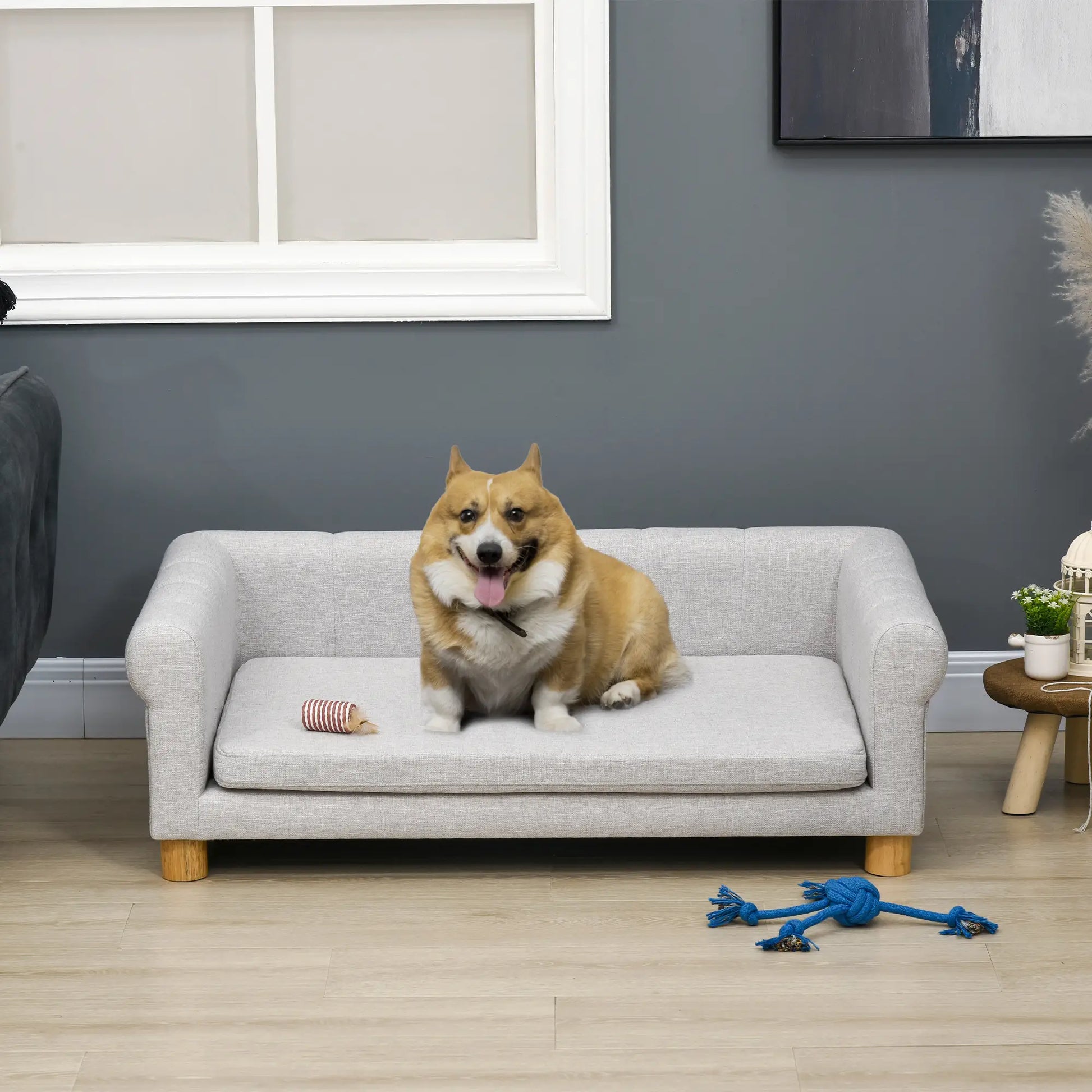 Modern Pet Sofa, Medium Large Dog Bed, Removable Cushion, Light Grey Dog Sofas at Gallery Canada